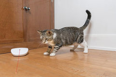PetSafe Laser Tail Cat Toy – Fun and Safe Laser Light Game for Cats – Hands Free Play,White