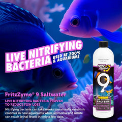 Fritz Aquatics FritzZyme 9 Live Nitrifying Bacteria Naturally Removes Amonia & Nitrite for Saltwater Fish