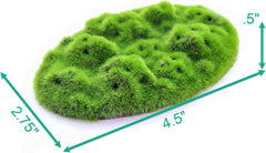 Penn-Plax Aqua-Flora Aquarium Living Resin Decoration with Embedded Glosso Plant Seeds – Moss Patch – Safe and Healthy for Freshwater Fish