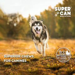 SUPERCAN BULLYSTICKS 6" Beef Bully Sticks for Small Medium Large Dogs (1pc) 100% Natural Dog Chews - Long Lasting Treats for Aggressive Chewers - Healthy Teeth