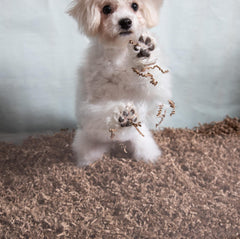 Fibercore ECO BEDDING 99% Dust Free Paper Bedding for Small Pets and Birds, Odor Control