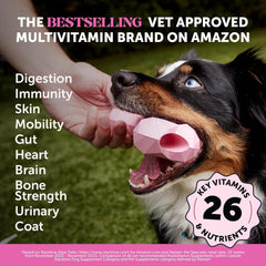 Pet Honesty Multivitamin Dog Supplement, Glucosamine chondroitin for Dogs, Probiotics, Omega Fish Oil, Dog Supplements & Vitamins, Vitamins for Skin and Coat Allergies, (Peanut Butter 90 ct)