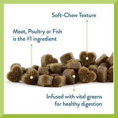 Pet Greens Treats Healthy Salmon Semi-Moist Dog Treat 6 Ounce