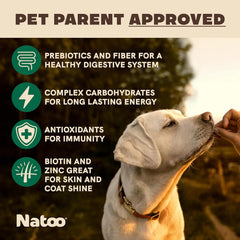NATOO Healthy Treats for Large Dogs, Crunchy Biscuits Coconut & Mango Flavor – Natural Dog Treats, Rich in Omega 6, Prebiotics & Fibers, Antioxidants for Immunity (8 oz)