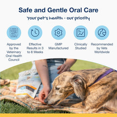 NaturVet Proden PlaqueOff Sytem Mini Dental Care Bones - Peanut Butter Banana - 12 oz, Brown