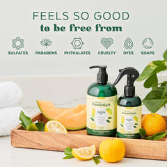 TropiClean Essentials Yuzu Fruit Moisturizing Shampoo for Dogs | Moisturize The Coat |