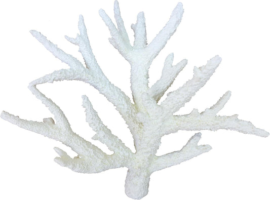 Weco 37777062: South Pacific Coral Staghorn Ornament, White, Md
