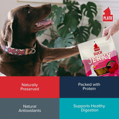 PLATO Pet Treats Jerky Dog Treats - Air-Dried Jerky for Dogs - Delicious, Real Meat Dog Treats - Grain Free - Supports Healthy Digestion - Duck Jerky with Cherry