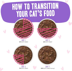 Weruva B.F.OMG - Best Feline Friend Oh My Gravy!, Tuna & Beef Baby Cakes with Tuna & Beef in Gravy Cat Food
