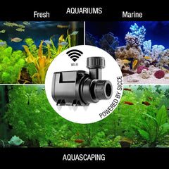 SICCE Syncra SDC 3.0 Water Pump 260-800 gph WIFI Apex Controllable Aquarium DC Return with Controller | Quiet Freshwater Saltwater Fish Tank Sump Pond
