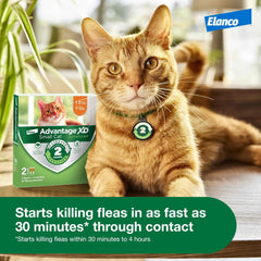 Advantage XD Cat Flea Prevention &amp; Treatment For Cats | 1-Topical Dose, 2-Months of Protection Per Dose