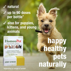 HomeoPet Joint Stress, Joint Support for Dogs and Cats, Liquid Pet Meds to Support Healthy Joint Movement, 15 Milliliters