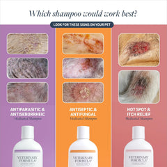 Veterinary Formula Clinical Care Antiseptic and Antifungal Medicated Shampoo for Dogs & Cats – Helps Alleviate Scaly, Greasy, red Skin – Paraben, Dye, Soap-Free (1 Pack)
