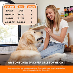 Pet Honesty Hip & Joint Health - Glucosamine for Dogs Soft Chews, Joint Supplement for Dogs with Glucosamine Chondroitin, MSM, Turmeric, Anti Inflammatory, Support + Mobility (Chicken 90ct)