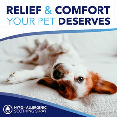 TropiClean OxyMed Hypoallergenic Hot Spot Treatment for Dogs, Dog Allergy Relief Spray,