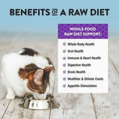 Northwest Naturals Freeze-Dried Whitefish Cat & Kitten Food – Bite-Sized Nibbles, Healthy, Limited, Human-Grade Ingredients, All-Natural, High-Protein Raw Diet, Complete & Balanced, Grain-Free – 11 oz