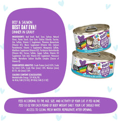 Weruva B.F.F. OMG - Best Feline Friend Oh My Gravy!, Best Day Eva! with Beef & Salmon in Gravy Cat Food