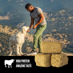 ORIJEN® Freeze Dried Dog Treats, Grain Free, High Protein, Raw Animal Ingredients, Ranch-Raised Beef, 3.25oz