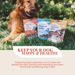 O.T.I.S. Wild Things Bison Recipe Jerky for Dogs – 4 oz – Soft Bison Treats with Flaxseed – Grass-Fed, GMO-Free – No Hormones or Artificial Additives