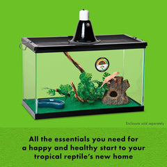 Zilla Tropical Habitat Accessory Kit, Starter Kit for Reptiles, Easy Start for Tropical-Dwelling Reptiles, Includes Lighting, Heating, Bedding and Food, Ideal for Size 10G Terrariums