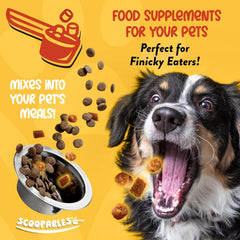 NaturVet Scoopables Advanced Probiotics for Dogs - Chewable Dog Probiotics & Digestive Enzymes - Support a Healthy Gut for Your Pet - Hickory Smoked Bacon Flavor