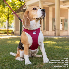 curli Vest Harness curli Clasp Air-Mesh Fuchsia