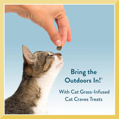 Pet Greens Treats Savory Salmon Semi-Moist Cat Treats 3 Ounce