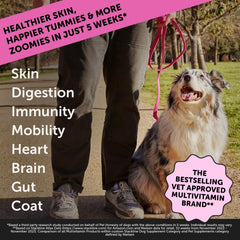 Pet Honesty Dog Multivitamin Max Strength - 15 in 1 Vitamins for Health & Heart - Essentials Fish Oil, Glucosamine, Probiotics, Omega Fish Oil - Multivitamins Supplements for Skin and Coat
