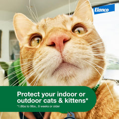 Advantage XD Cat Flea Prevention &amp; Treatment For Cats | 1-Topical Dose, 2-Months of Protection Per Dose