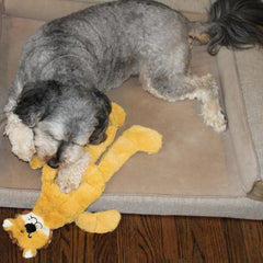 Skinneeez Tons-O-Squeakers Jungle Cat Dog Toy - 19 Squeakers for Tons-O-Fun! Stuffing-Free Design Perfect for Moderate Chewers, Tug Toy for Medium to Large Puppies & Dogs - 20in, Style May Vary