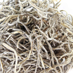 Galápagos Spanish Moss, Mini Bag