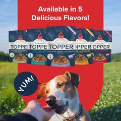 PLATO Pet Treats Dog Food Toppers - Air-Dried Dog Food Toppers for Dry Food - with Collagen to Support Skin and Coat Health - Venison, Lamb and Collagen Recipe