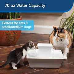 Drinkwell - PetSafe Drinkwell Pagoda Ceramic Cat & Dog Water Fountain, 70oz Capacity, Encourages Hydration, Open Bowl Design, White