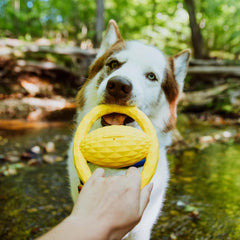 Playology Hound2O Outdoor Dog Toys | Interactive Squeaky Ball - Tug of War Dog Toy | Bright Yellow Chew Toy Floats for Water Adventures