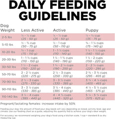 Go! Solutions Sensitivities Limited Ingredients, Grain-Free Dry Dog Food, Salmon Recipe for Sensitive Stomach