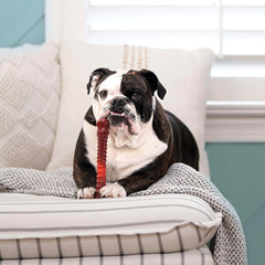 Nylabone Textured Bone Power Chew Toy for Dogs, Durable & Tough Dog Toys for Aggressive Chewers, Beef Jerky Flavor