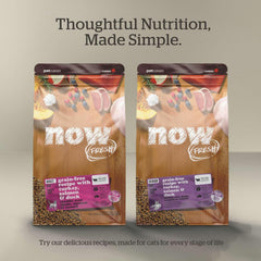 Now Fresh Grain-Free Dry Kitten Food with Turkey, Salmon & Duck, Healthy Kibble for Growing Cats with Real Meat & Fish, Chicken-Free, with Pumpkin & Probiotics for Sensitive Stomachs, 3 lb Bag