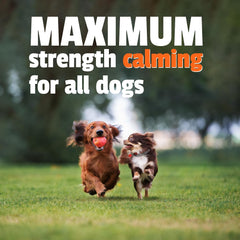 PET NATURALS OF VERMONT DOG BUSY BUTTER EXTRA STRENGTH CALMING PEANUT BUTTER 6OZ