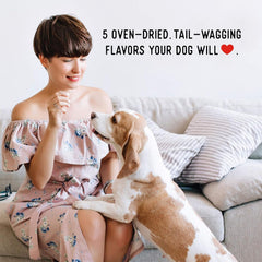 Farmland Traditions Dogs Love Beef Jerky Dog Treats with Only 4 Ingredients and No Fillers