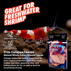 Fritz Catappa Leaves