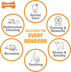 Nylabone Axis Bone Power Chew Toy for Dogs, Dog Toys for Aggressive Chewers, Vanilla Flavor