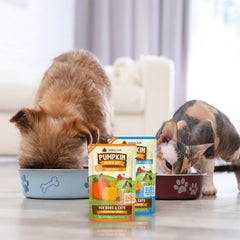 Weruva Pumpkin Patch Up! Pumpkin Puree Pet Food Supplement for Dogs & Cats (Pack of 12)
