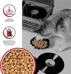 BIXBI Rawbble Freeze Dried Dog Food, Beef Recipe - 98% Meat and Organs, No Fillers - Pantry-Friendly Raw Dog Food for Meal, Treat or Food Topper - USA Made in Small Batches
