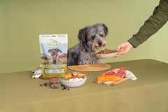 Superfood Complete, Adult Dog Food, Air-Dried, High Protein, Zero Fillers, Superfood Nutrition by Katherine Heigl (Beef Formula)