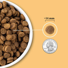 ACANA Wholesome Grains Dry Dog Food, Free-Run Poultry, Real Chicken & Turkey and Eggs Dog Food Recip