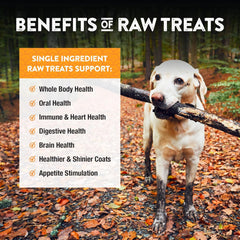 Northwest Naturals Raw Rewards Freeze-Dried Turkey Neck Treats for Dogs and Cats - Whole Neck - Healthy, 1 Ingredient, Human Grade Ingredients, All Natural, Proudly Made in USA, 6 Oz