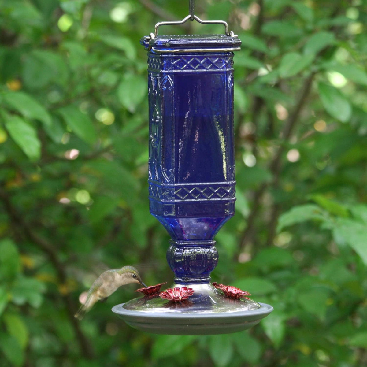 Perky-Pet® Antique Bottle Hummingbird Feeder