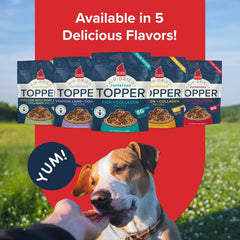 PLATO Pet Treats Dog Food Toppers - Air-Dried Dog Food Toppers for Dry Food - with Collagen to Support Skin and Coat Health - Fish and Collagen Recipe