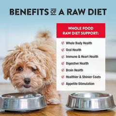 Northwest Naturals Freeze-Dried Beef Dog Food - Bite-Sized Nuggets - Grain-Free, High-Protein, Raw Diet, Human-Grade Ingredients, All Natural, Premium Quality, Healthy & Nutritious, Made in USA, 25 Oz