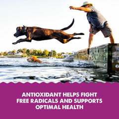 Grizzly Pet Products Krill Oil Liquid Antioxidant Product for Dogs and Cats, 8 Ounce